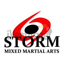 Storm logo